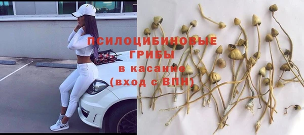 ALPHA PVP Алексеевка