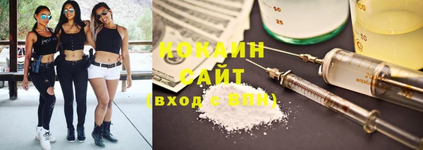 дживик Алзамай