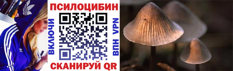 Галлюциногенные грибы Psilocybine cubensis Кыштым
