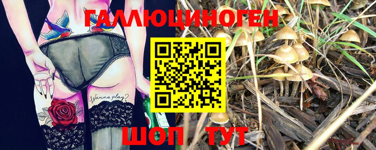 Галлюциногенные грибы Psilocybe Кыштым