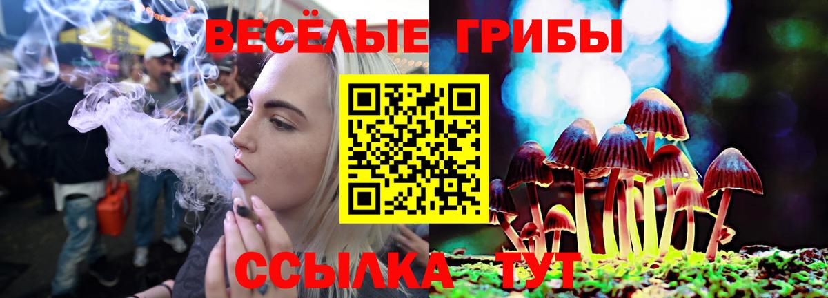 Псилоцибиновые грибы Psilocybe  Галлюциногенные грибы Psilocybe  Вход с VPN  Кыштым 